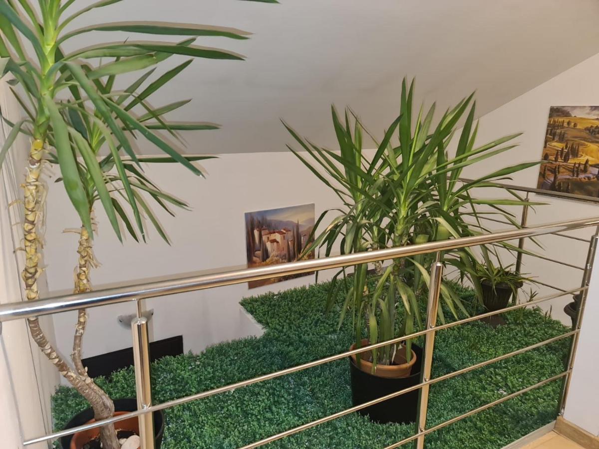 דירות Voluntari Apartament Iulia מראה חיצוני תמונה